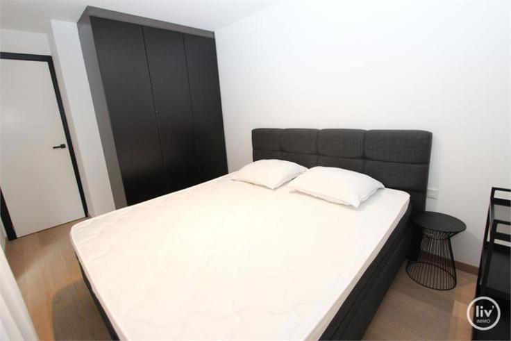 Appartement Spacieux A Knokke Eksteriør bilde